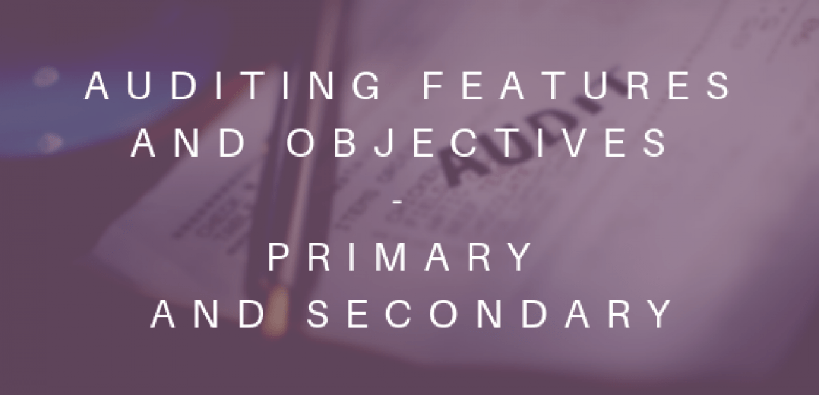 Auditing features and objectives